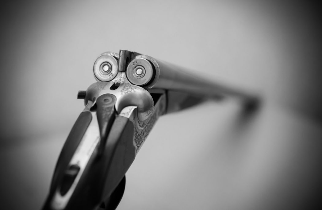 vintage-gun-6756392_1920