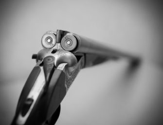 Waffenrechtlich unzuverlässig: Keine Waffen für AFD- Mitglieder?