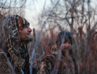 Die Vögel – Krähen und ihre Bejagung