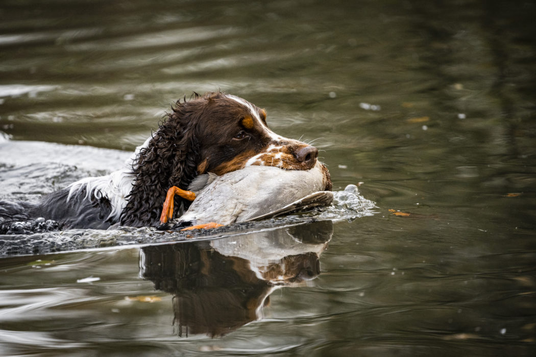 EntenjagdWacken2022-089