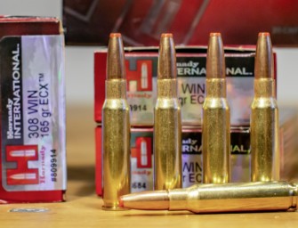 Munition für Drückjagd und Ansitz – Hornady ECX im Test