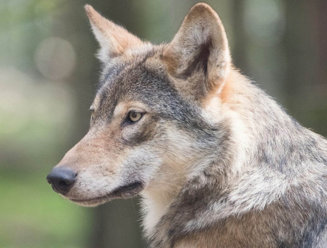 m-zonderling-WFPWB7Vum1E-unsplash