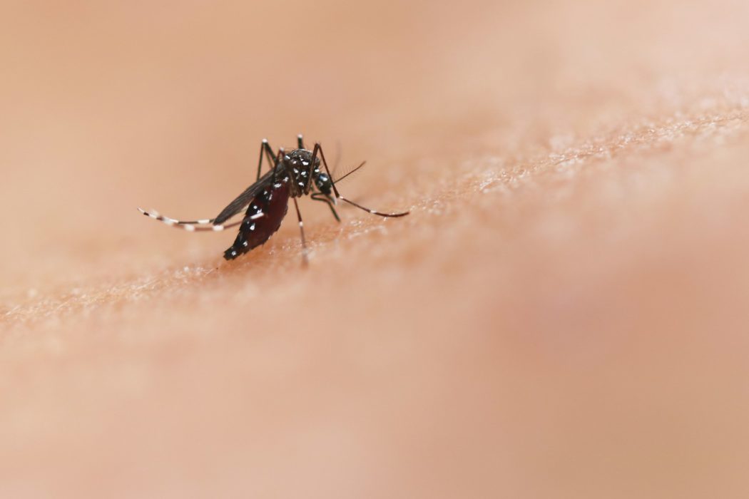 national-institute-of-allergy-and-infectious-diseases-Z2pq_4mj6BI-unsplash