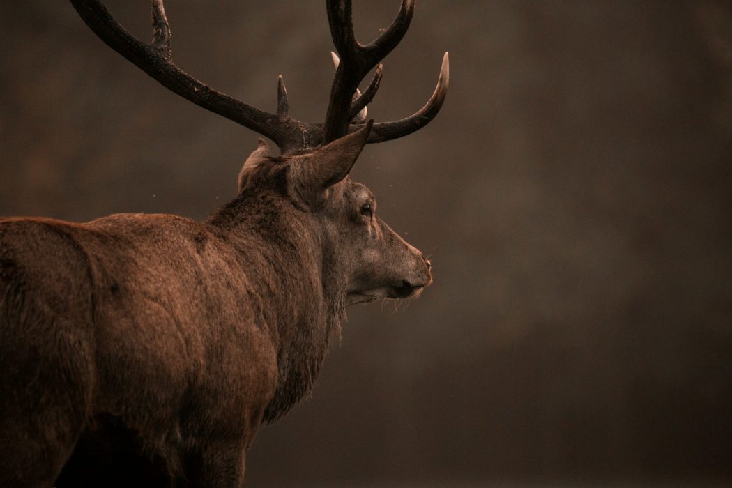 Unsplash- Diana-Parkhouse-T0d_UqCICck-unsplash