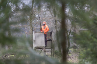Drückjagd organisieren – Was jeder Jagdleiter wissen muss