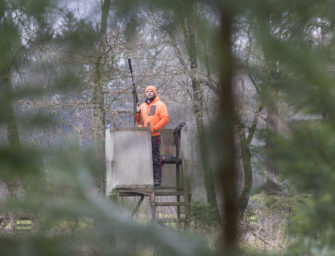 Drückjagd organisieren – Was jeder Jagdleiter wissen muss