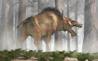 Keiler: Wildschwein der Urzeit
