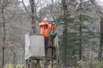 Sicherheit bei der Drückjagd: Saujagd, aber sicher!