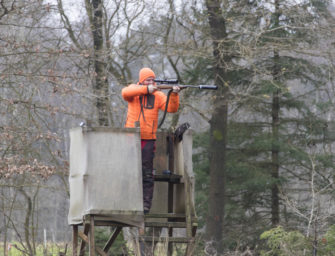 Sicherheit bei der Drückjagd: Saujagd, aber sicher!