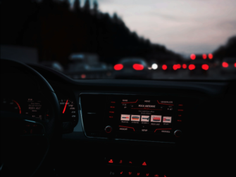 Mutmaßlicher Wolf-Unfall auf der A1: Kollision bei Münster