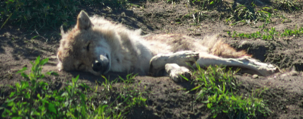 Bildschirmfoto 2024-10-24 um 10.28.21