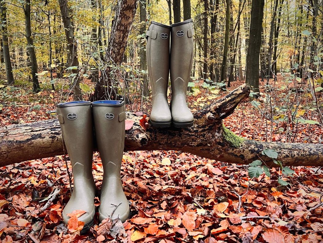 52ec97c4-3201-41d3-a2f1-e7eaf506f387