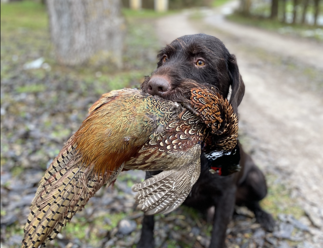 Bildschirmfoto 2024-11-20 um 18.56.35