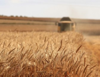 „Louisenlund bildet die Zukunft der Landwirtschaft!“