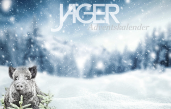 Adventskalender 2024