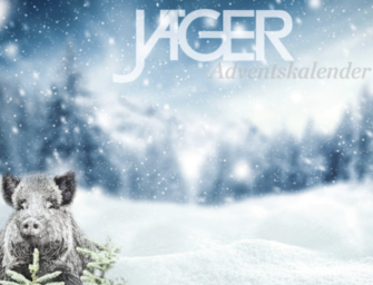 Adventskalender 2024