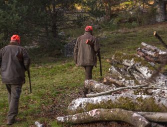 Jäger in Niedersachsen setzen sich durch