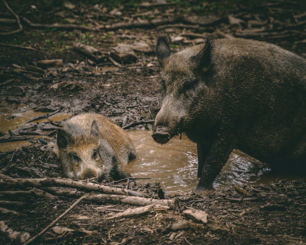 jonathan-kemper-q3O4EEgwLoA-unsplash