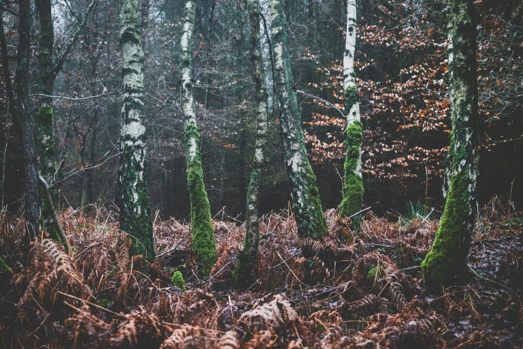 julia-joppien-h1rkuUodOKw-unsplash