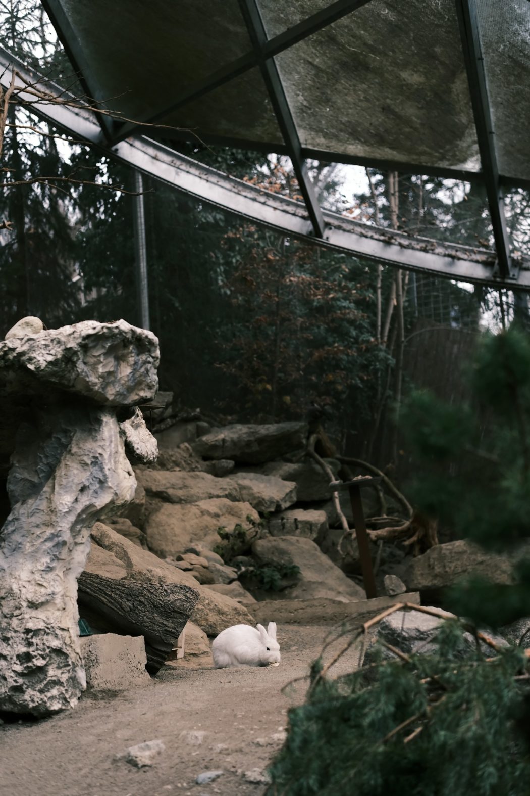 nk-ni-I90iYU06po8-unsplash