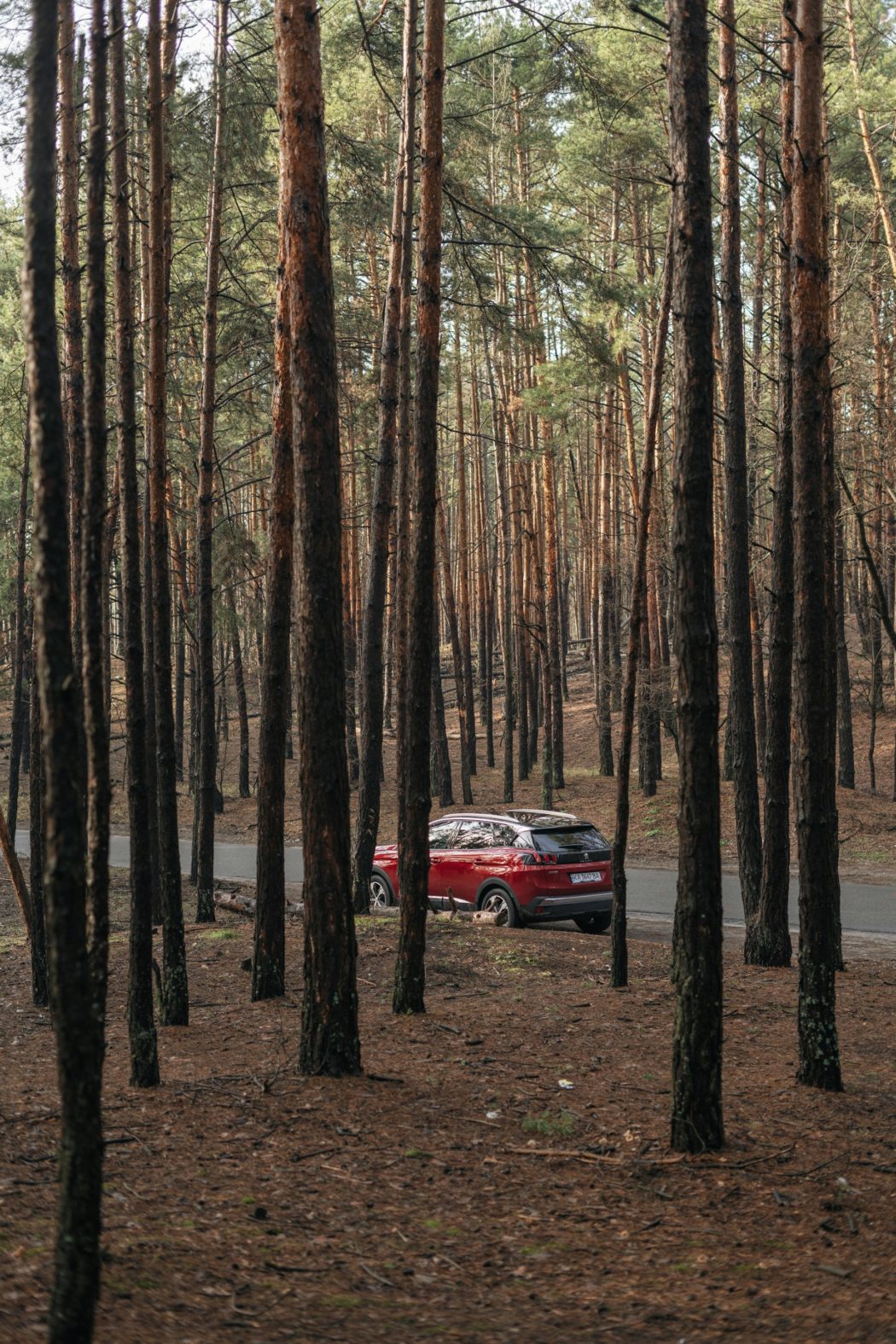 olena-bohovyk-cXVoDxe71BQ-unsplash