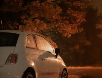 Wildunfall: vom Autofahrer unabsichtlich zum Wilderer?