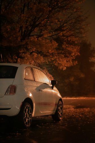 Wildunfall: vom Autofahrer unabsichtlich zum Wilderer?