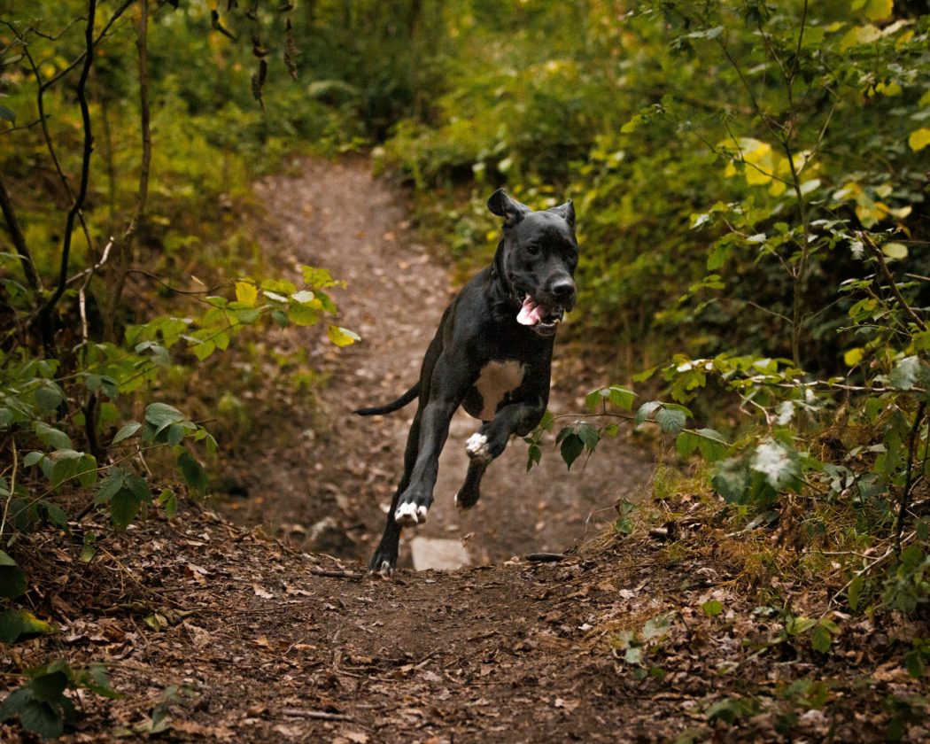 ben-griffiths-2kcKn8ETBoc-unsplash