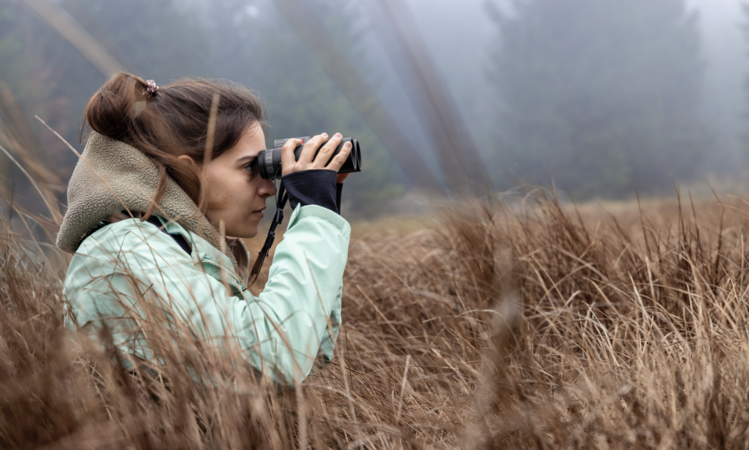 Bildschirmfoto 2025-01-29 um 10.16.03