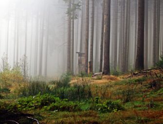 Jäger stirbt bei Gemeinschaftsjagd: Neue Erkenntnisse nach Obduktion
