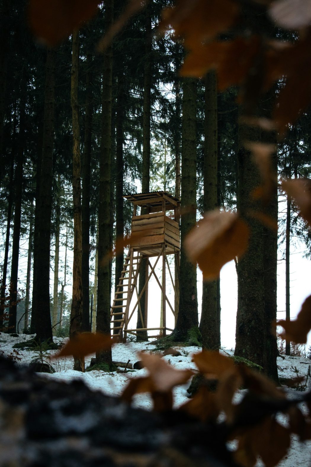 ken-kullik-jK0pNJVCH94-unsplash