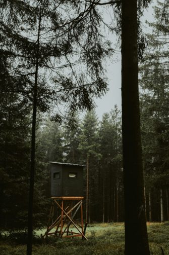Jagdunfall in Mecklenburg-Vorpommern endet für Jäger tödlich
