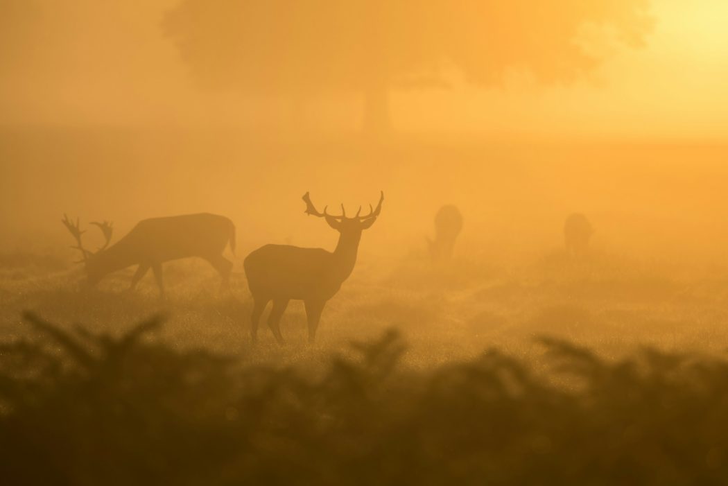 paul-earle-l98YXp1X8dA-unsplash