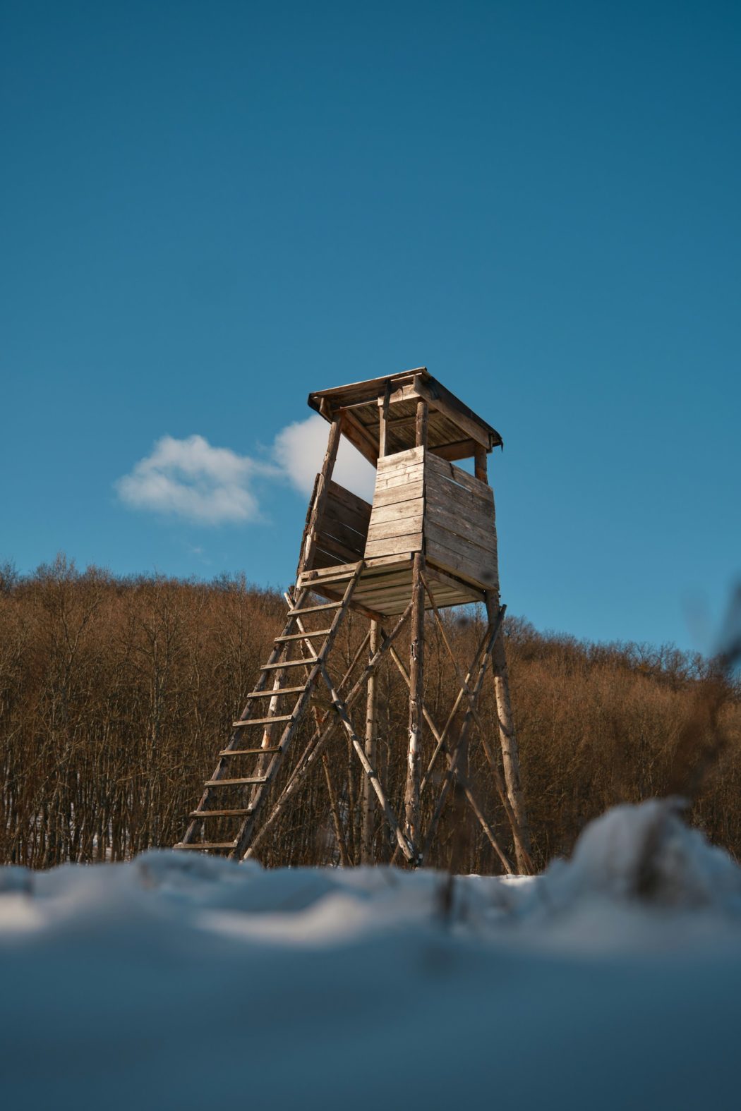 adam-hornyak-zkaKHWxrQZk-unsplash