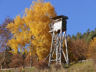 Hochsitz in Bayern beschädigt: Anschlag auf die Jägerschaft?