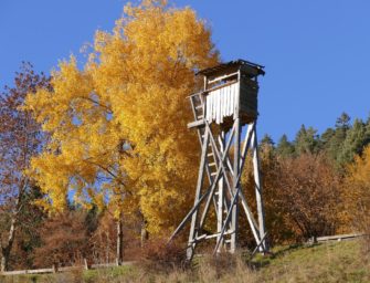 Hochsitz in Bayern beschädigt: Anschlag auf die Jägerschaft?