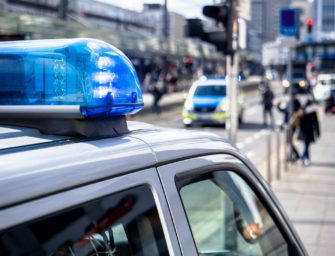 Fahrer kollidiert mit Reh: Wildunfall führt zu Strafverfahren