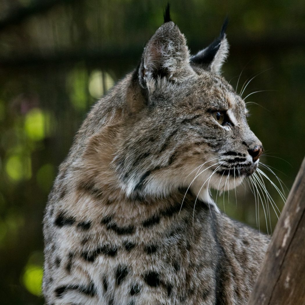 uriel-soberanes-BdTXih1IfTs-unsplash