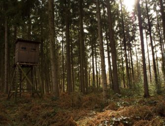 Tragischer Jagdunfall: Jäger erschießt sich bei der Jagd selbst