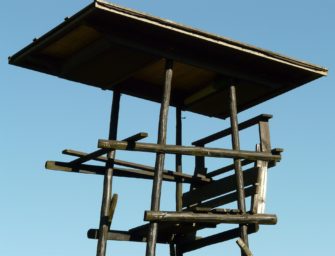 Brandstiftung im Wald? Hochsitz steht lichterloh in Flammen