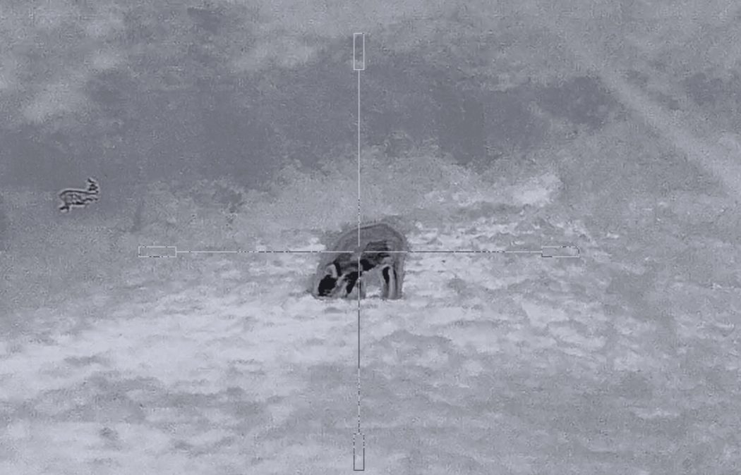 Bildschirmfoto 2025-05-22 um 12.27.49-min