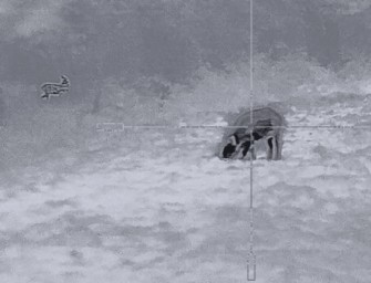 Nachtzieltechnik bald legal? Minister fordert Klarheit