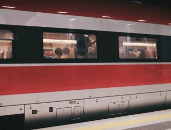 Wildunfälle mit dem Zug? Wie die Bahn ihre Strecken schützt