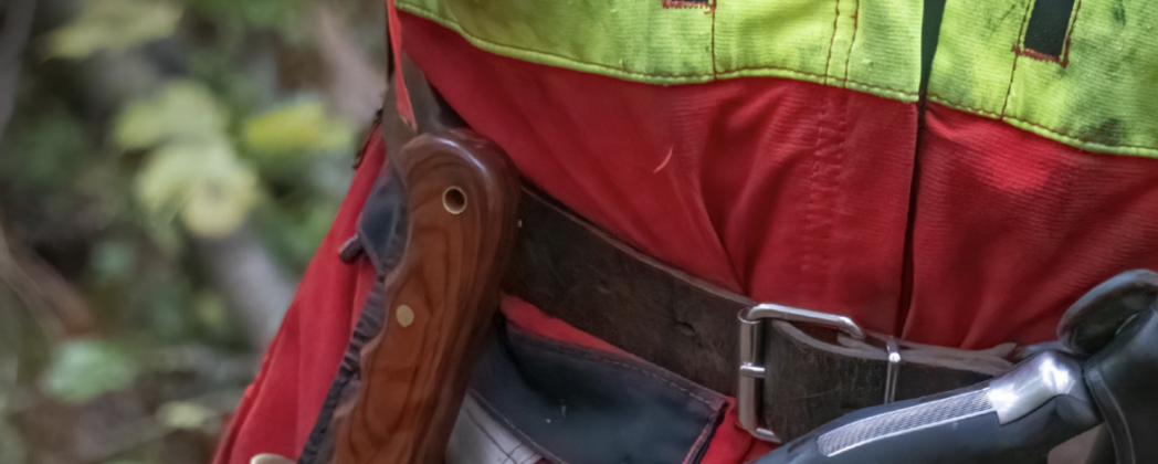 Kurzwaffen auf der Jagd: In der Kürze liegt die Würze?