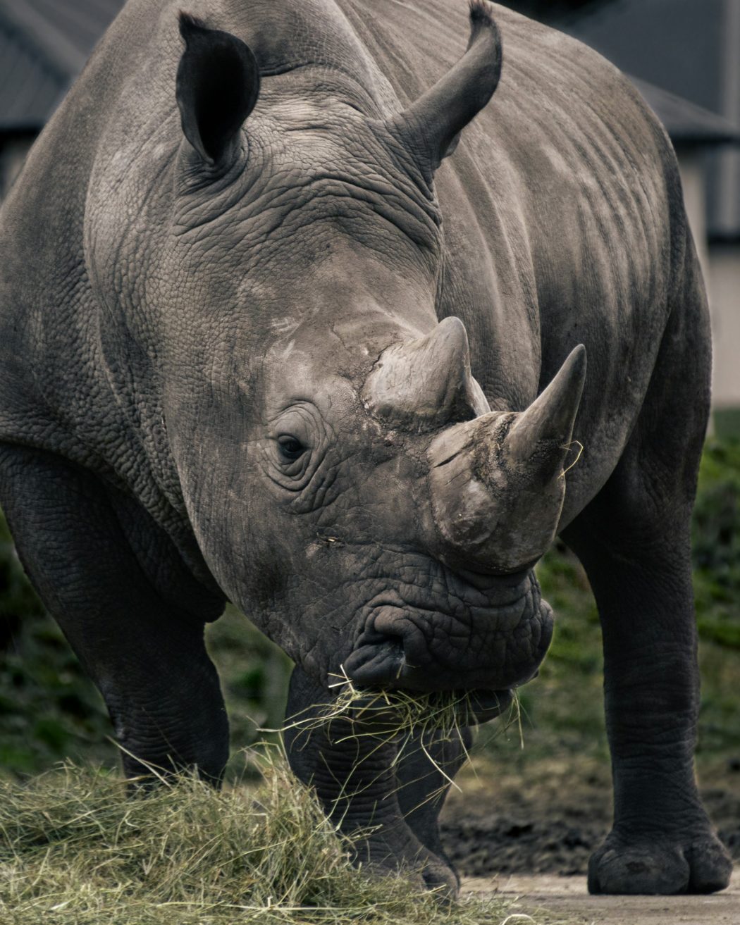 daley-van-de-sande-VOWO7S0wbks-unsplash