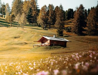 Wilderei in Südtirol: Erfolg durch Militärpolizei