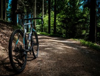 Wildschwein rammt Mann von Rad – Schwere Verletzung