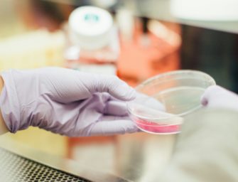 Bornavirus tötet Mann in Oberbayern: Ausbruch von seltener Tierseuche