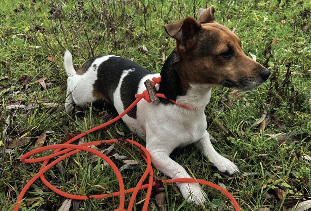 Bildschirmfoto 2025-07-01 um 12.03.42