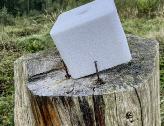 Salzlecke für Rehwild, Rotwild und Co.: Salzlecke bauen im Revier